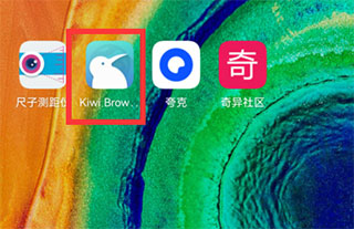 kiwi浏览器手机版