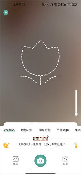 识花君