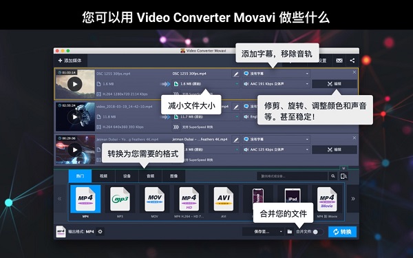 Movavi Video Converter