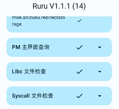 ruru检测器