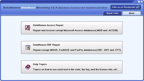 DataNumen Data Recovery