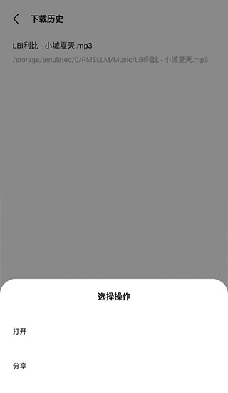 歌词适配手机版