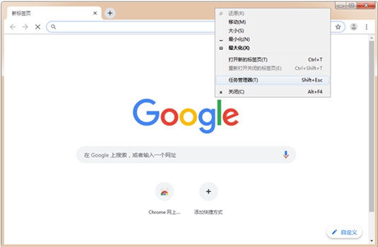 谷歌浏览器海外版