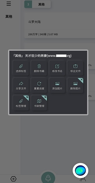 TT小说阅读器