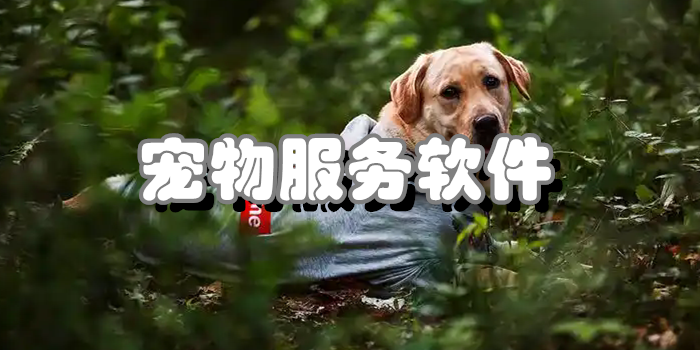 宠物服务软件