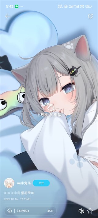 星咩视频壁纸
