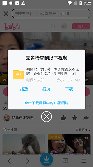 云雀视频下载助手