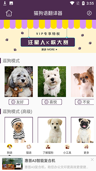 猫语狗语翻译器