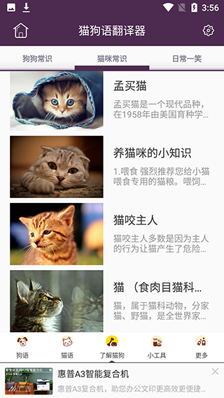 猫语狗语翻译器