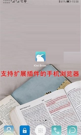 KiwiBrowser浏览器
