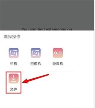 KiwiBrowser浏览器
