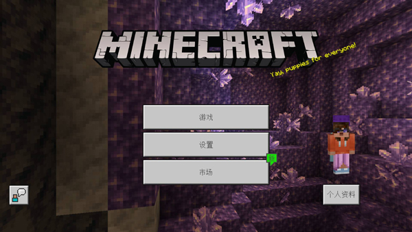 我的世界国际版