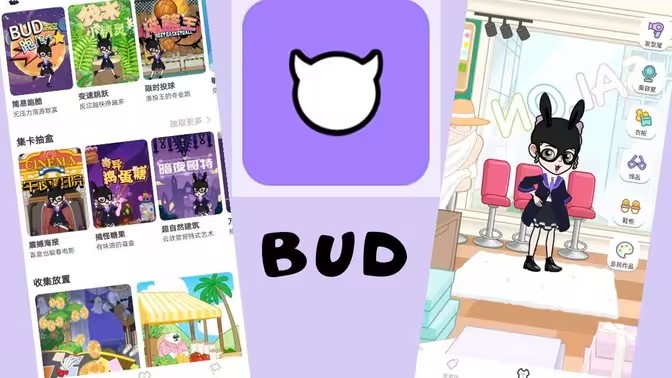 bud版本大全