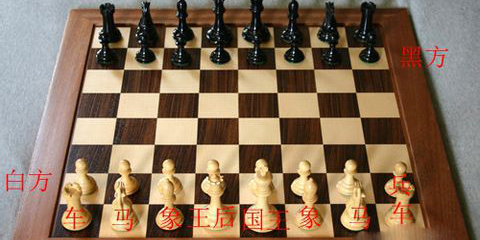 国际象棋单机版