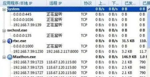 掌门狗