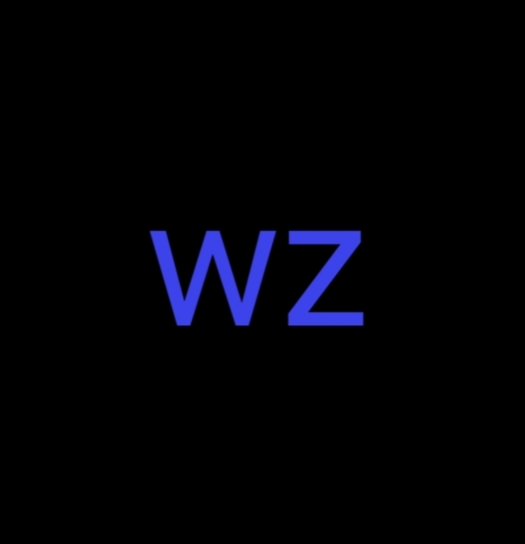 wz定制弱网
