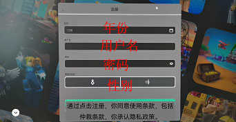 罗布乐思越南服