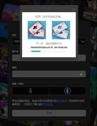 罗布乐思越南服
