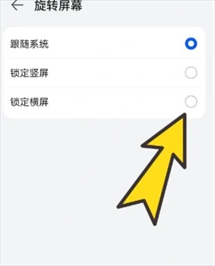 波波浏览器海外谷歌版
