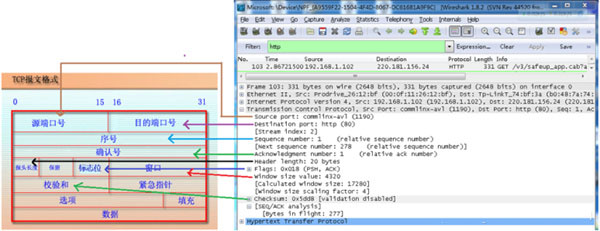 Wireshark