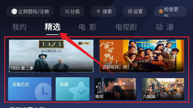 荐片TV版