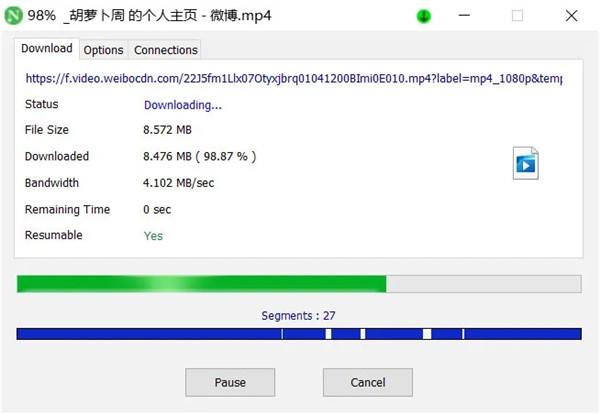 Neat Download Manager中文版