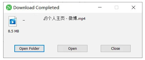Neat Download Manager中文版