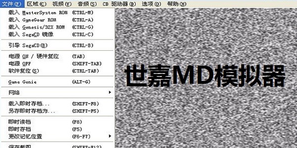 MD模拟器