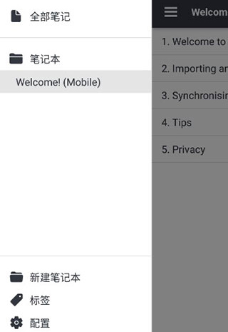 joplin安卓版
