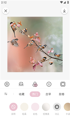 日杂相机