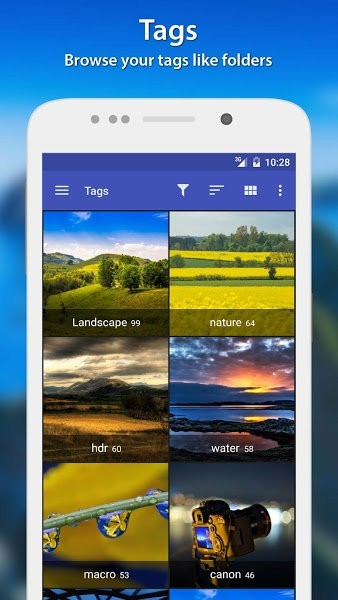 预览图3