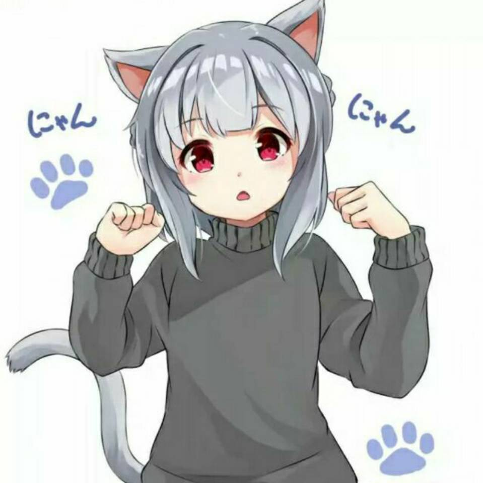冷狐宝盒正版