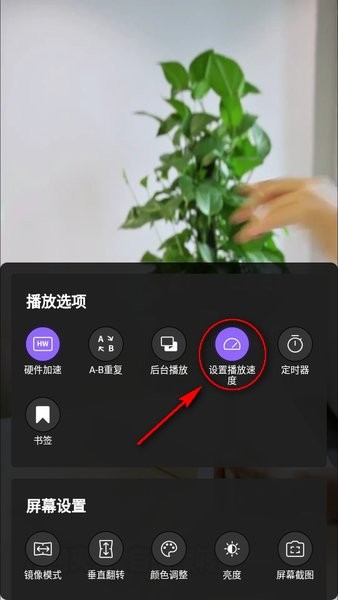 kmplayer中文版