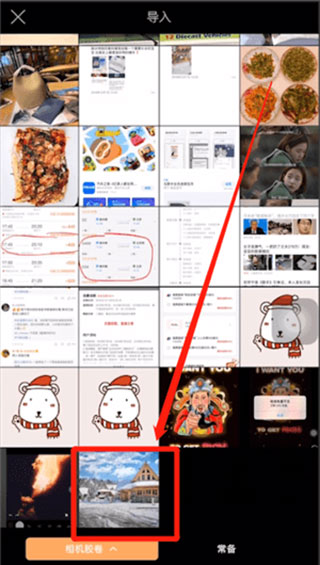 pixaloop中文版