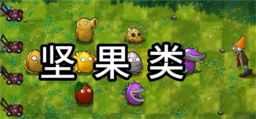 植物大战僵尸融合版屋顶辅助