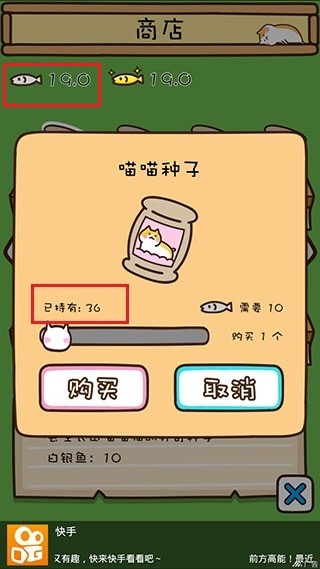 猫咪田园9