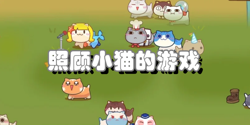 照顾小猫的游戏