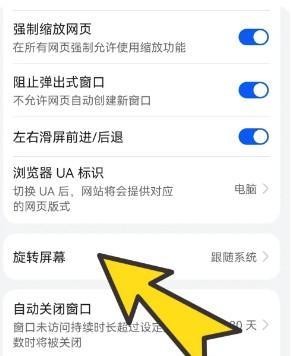波波浏览器蓝色版本