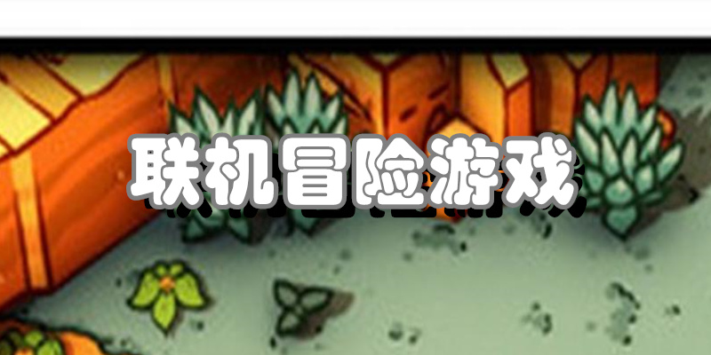 联机冒险游戏