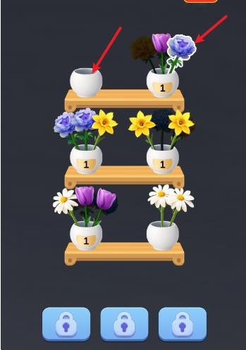 花开大吉