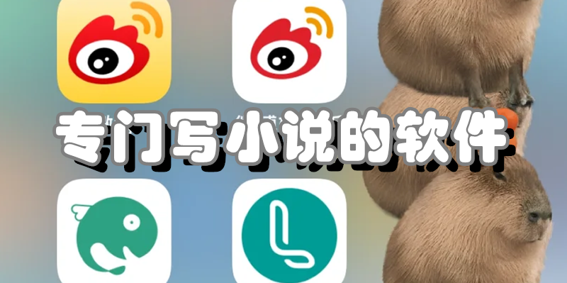 专门写小说的软件