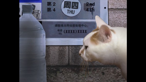 怎么玩2