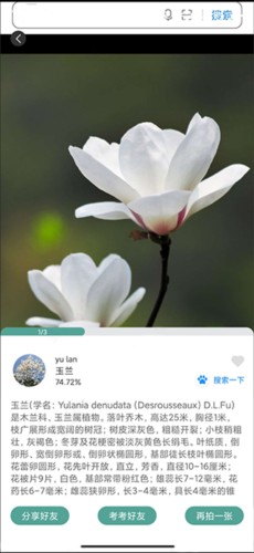 识花君app8