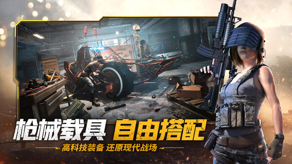 预览图3