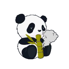 小熊猫辅助器超自然模式