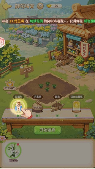 新手攻略3