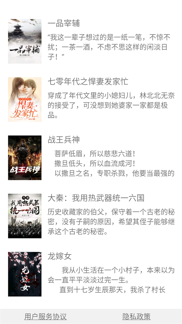 预览图3