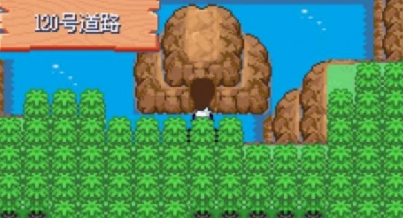 口袋妖怪漆黑的魅影金手指