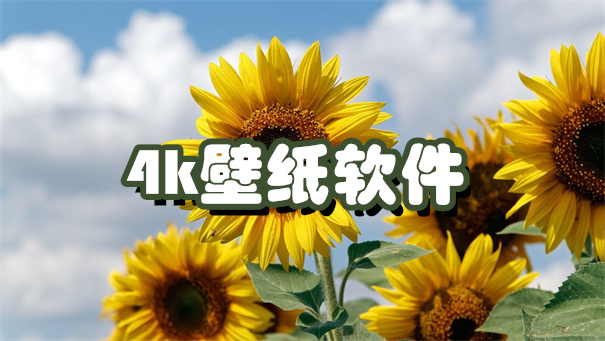 4k壁纸软件