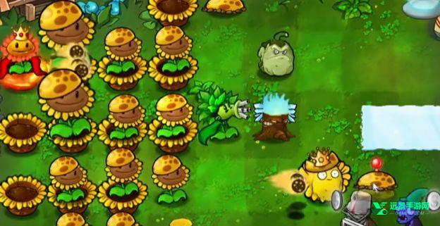 植物大战僵尸杂交直装版